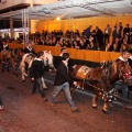 Cabalgata del Pregó