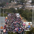 Romería Magdalena 2015