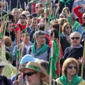 Romería Magdalena 2015