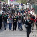 Romería Magdalena 2015