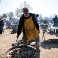 Concurso de Paellas Intercollas