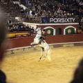 Feria de la Magdalena 2015