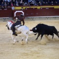 Feria de la Magdalena 2015