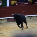 Feria de la Magdalena 2015