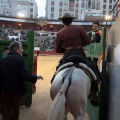 Feria de la Magdalena 2015