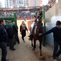 Feria de la Magdalena 2015