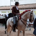 Feria de la Magdalena 2015