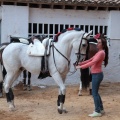 Feria de la Magdalena 2015