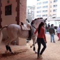 Feria de la Magdalena 2015