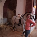 Feria de la Magdalena 2015