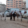 Feria de la Magdalena 2015