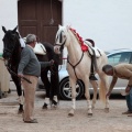 Feria de la Magdalena 2015