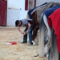 Feria de la Magdalena 2015