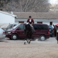 Feria de la Magdalena 2015