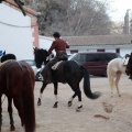 Feria de la Magdalena 2015