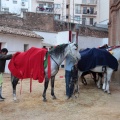 Feria de la Magdalena 2015