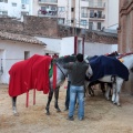 Feria de la Magdalena 2015