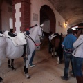 Feria de la Magdalena 2015