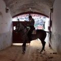 Feria de la Magdalena 2015