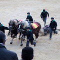 Feria de la Magdalena 2015