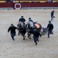 Feria de la Magdalena 2015