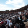 Feria de la Magdalena 2015