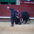 Feria de la Magdalena 2015