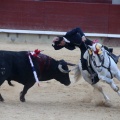 Feria de la Magdalena 2015