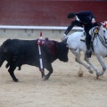 Feria de la Magdalena 2015