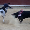 Feria de la Magdalena 2015