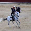 Feria de la Magdalena 2015