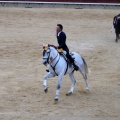 Feria de la Magdalena 2015