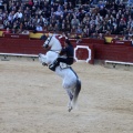 Feria de la Magdalena 2015