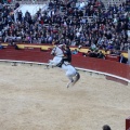 Feria de la Magdalena 2015