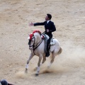 Feria de la Magdalena 2015