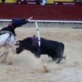 Feria de la Magdalena 2015