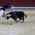 Feria de la Magdalena 2015