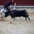 Feria de la Magdalena 2015