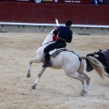 Feria de la Magdalena 2015