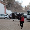 Feria de la Magdalena 2015