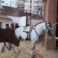 Feria de la Magdalena 2015