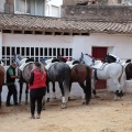 Feria de la Magdalena 2015