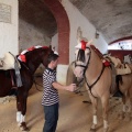 Feria de la Magdalena 2015