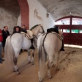 Feria de la Magdalena 2015