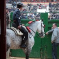 Feria de la Magdalena 2015