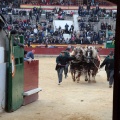 Feria de la Magdalena 2015