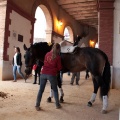 Feria de la Magdalena 2015