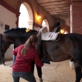 Feria de la Magdalena 2015