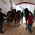 Feria de la Magdalena 2015