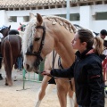 Feria de la Magdalena 2015